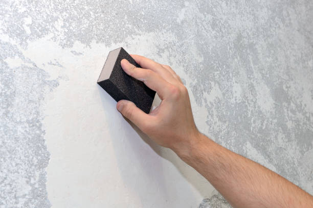 Best Mold Odor Removal Services  in San Ramon, CA