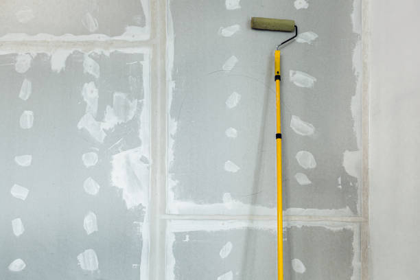 Best Mold Documentation for Insurance Claims  in San Ramon, CA