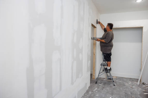Mold Odor Removal Services in San Ramon, CA